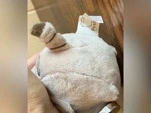 NWT Pusheen Cat Wearing Sunglasses Stuffed Animal Plush Toy Keychain Bag Clip thumbnail 3