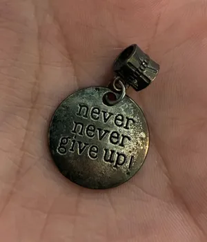 Never Never Give Up Silver Medallion Round Tag Clip Charm Pendant boho thumbnail 1