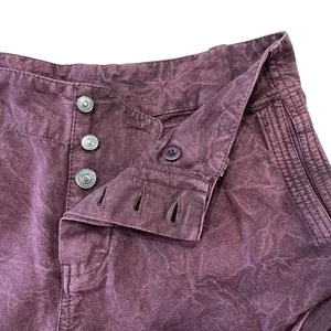 Free People Shorts Sz 0 Purple NWT Low Rise Button Fly Point Dume Chino Festival thumbnail 5