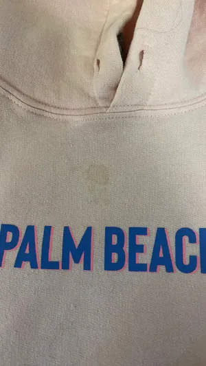 Palm Beach Hoodie thumbnail 4