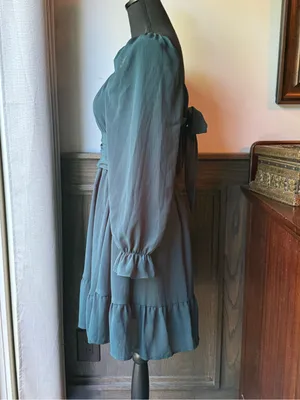 Exlura Women's Teal Long-Sleeve Empire Waist Dress large nwt thumbnail 2