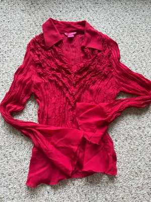Vintage Red Ruffle Sheer Long Sleeve Top thumbnail 1