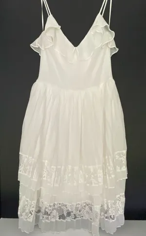 French Connection Women’s Dress Size 4. Lace. Pleated. Elegant. Light. XS thumbnail 1