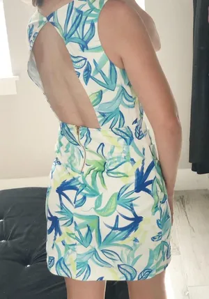 Sabo Skirt Deep Plunging Dress thumbnail 4