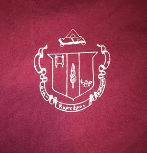Spirit Delta Zeta Jersey thumbnail 3