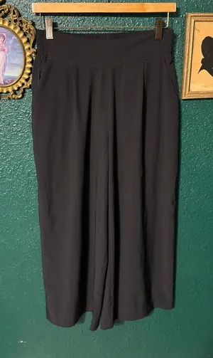 Quince Pull On Black Ankle Pants Sz Small thumbnail 1