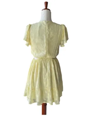 Show Me Your Mumu Merritt Mini Dress thumbnail 6