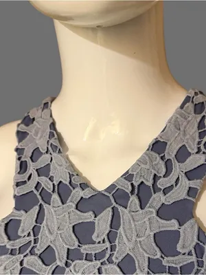 GBX Light Blue Floral Lace Sleeveless Mini Dress thumbnail 3