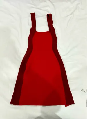 Solid & Striped The Marissa Colorblock Mini Dress Red Burgundy (Size S)⁠ thumbnail 5