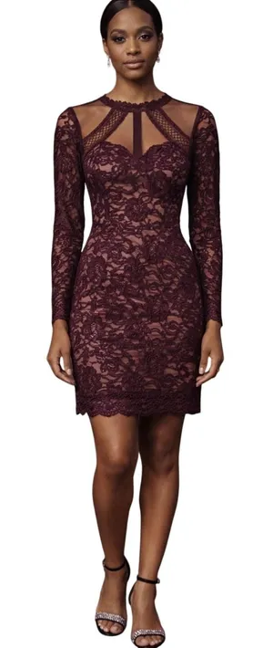 Soieblu Lace Long Sleeve Dress Burgundy Whimsigoth Vampy Dark Romance‎ thumbnail 1