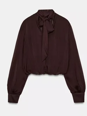 Zara NWT draped High-Neck Long-Sleeve mesh Blouse top Brown thumbnail 10