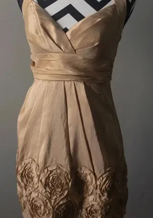 Golden Short Party‎ Dress Sz3/4 thumbnail 1
