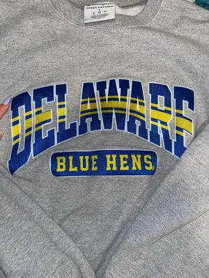 Champion UDel crewneck thumbnail 2