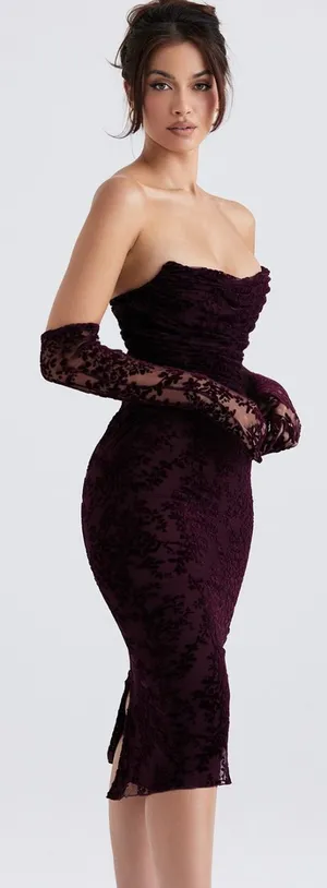 House Of CB Isadora Brown Cherry Devore Corset Dress thumbnail 1