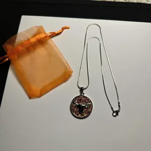 Rhinestone Texas Longhorn Round Pendant Silver Tone Chain Necklace NWOT thumbnail 2