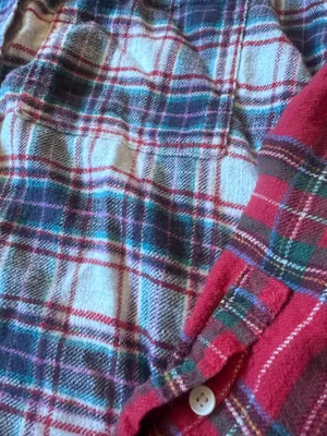 American Eagle 100% cotton plaid flannel size M 🍂 thumbnail 2