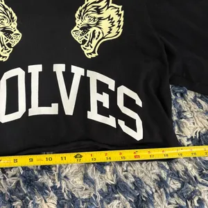 Darc Sport Grit Before Glory Cropped Wyoming Hoodie Small thumbnail 4