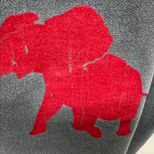 Comfort Colors Elephant Tuscaloosa Alabama sweatshirt size M thumbnail 9