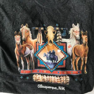Hanes Albuquerque New Mexico T Shirt Horses Southwest thumbnail 4