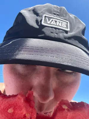 Vans Hat Snapback thumbnail 2