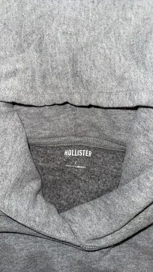 Grey Hollister Hoodie thumbnail 2