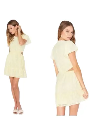 Show Me Your Mumu Merritt Mini Dress thumbnail 4