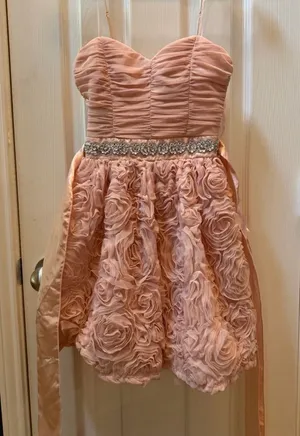 Trixxi size S Sleeveless Pink Rosette Formal Dress with Beaded Waist for Girls thumbnail 1