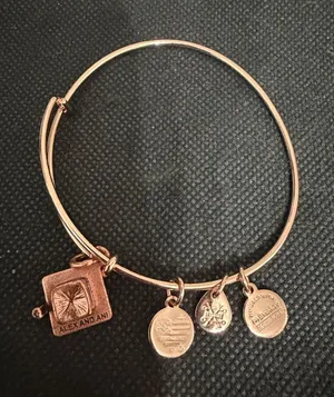 Vintage Alex & Ani Rose Gold-Tone Bracelet with Graduation hat charm. excellent used condition. Measurements approximately 2 1/2”. Non-smoking home. Priced to sell at as is condition. Don’t like my price, make a reasonable offer! thumbnail 1