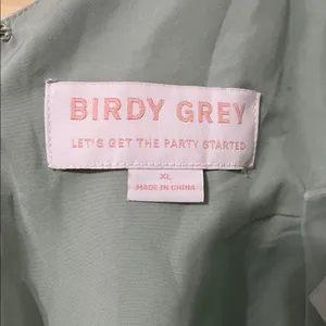 NWT Birdy Grey Jay Shiny Satin Dress In Sage Size XL thumbnail 12