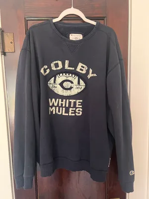 Champion Navy Blue Crewneck Sweatshirt thumbnail 1
