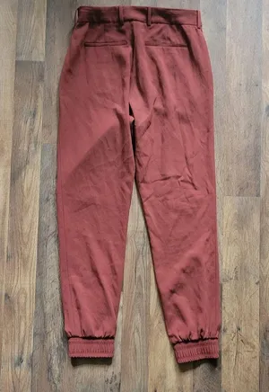 Aritzia Babaton Wade Jogger Slim Dress Pants Cider Gold thumbnail 4