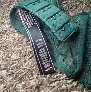 Victoria's Secret Lace Push-Up Bra thumbnail 3