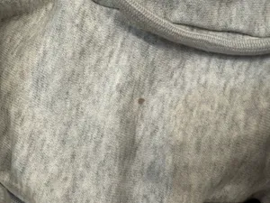 Nike Sweatpants thumbnail 3