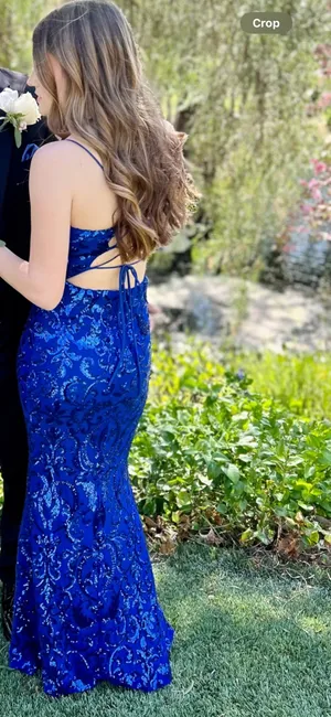 Windsor Prom dress thumbnail 4