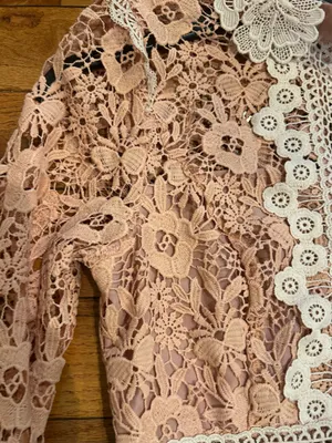 ASOS DESIGN rose Victorian-inspired Pleated Lace Dream Mini Dress 6 thumbnail 14