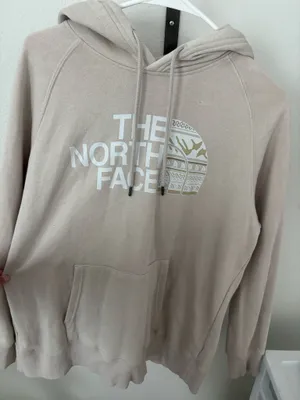 The north face hoodie  thumbnail 1