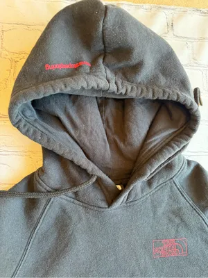 The North Face Womens Medium Hoodie Sweatshirt Rainbow Logo Spell Out EUC Pride thumbnail 8