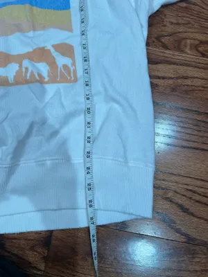 Aerie American Eagle Crewneck Sweatshirt thumbnail 4