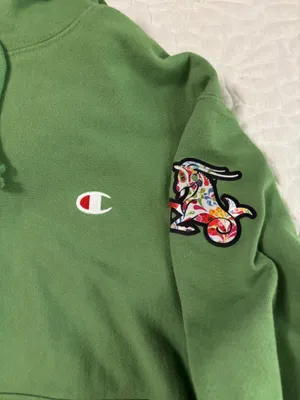 Champion Hoodie Sweatshirtgreen thumbnail 4