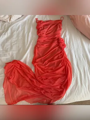 Peppermayo Louana Maxi Dress Fitted Maxi Dress in Coral thumbnail 6