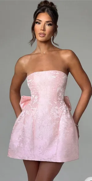 Babyboo Elenora Mini Dress in Blush Size Large thumbnail 1