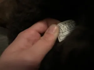 UGG Australia Boots thumbnail 5