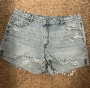 American Eagle Shorts thumbnail 1