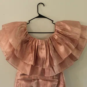 Choosy Copper Rose Organza Dress Size Small thumbnail 5