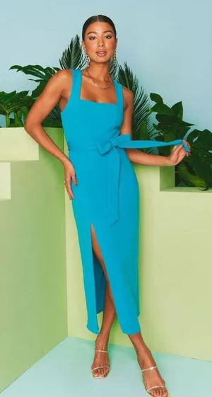 Eden Midi Stretch Dress thumbnail 1