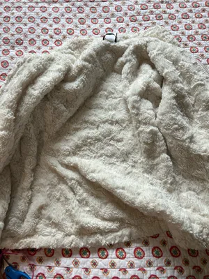 The North Face Ivory Winter Jacket size small thumbnail 7