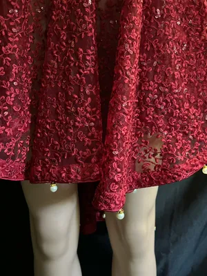Embroidered Red Lace Fit-and-Flare Women's Dress MD thumbnail 12