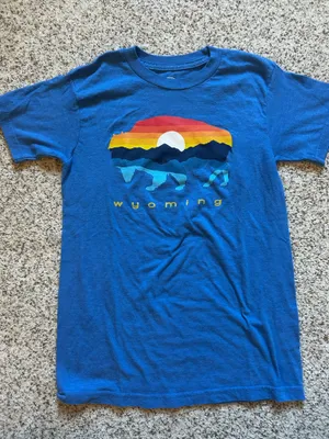 The duck company shirt Blue Size XS thumbnail 1