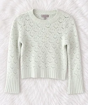J. Crew Pale Mint Eyelet Crewneck Sweater| 100% Merino Wool thumbnail 1