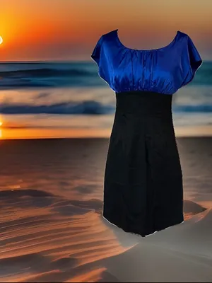 The Limited Dress Dinner Fitted Semi formal Blue Black womens 0 thumbnail 3